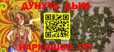 spice Новозыбков