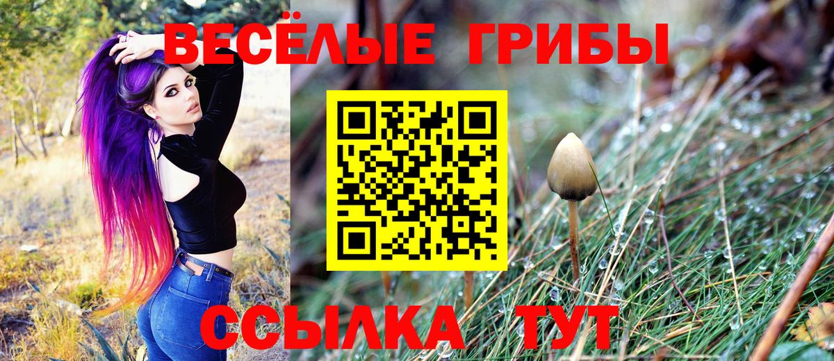 Codein Тара